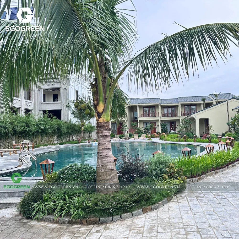 "Ấn tượng ban đầu rất quan trọng" - Sân vườn là trải nghiệm đầu tiên.